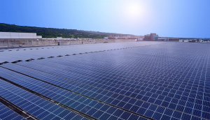 中美硅晶与beats365光电携手战略合作