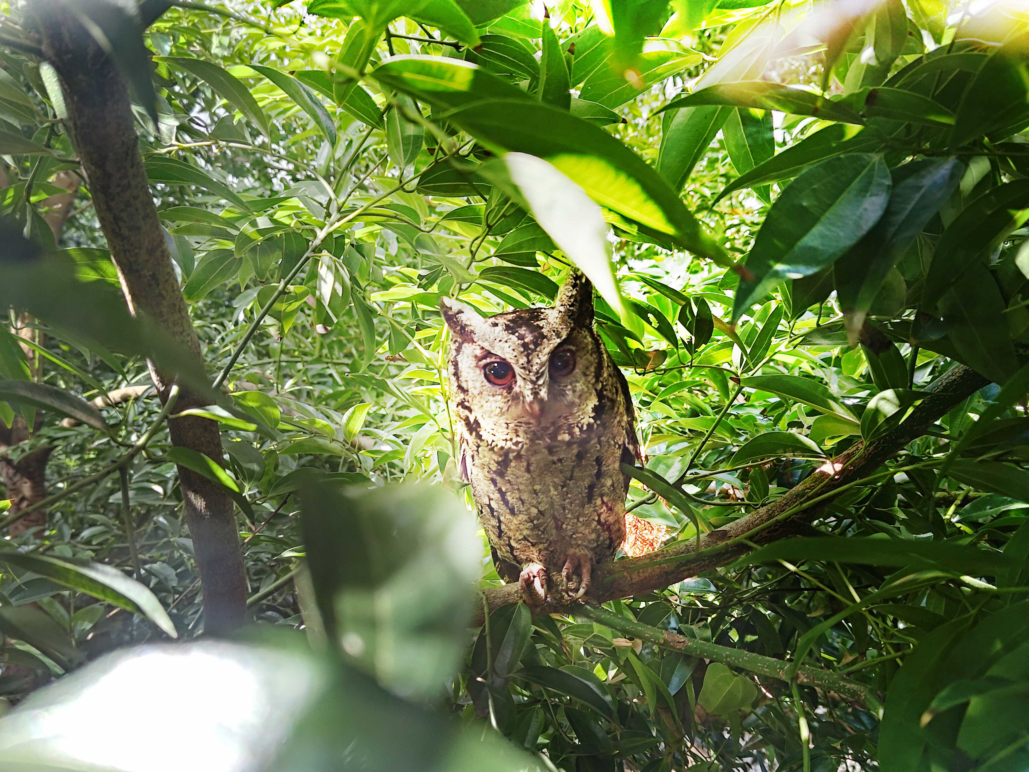 beats365致力提倡净零绿生活，16年以来在全球各厂区植树逾百万棵，造就各厂区树木蔚然成林，犹如森林工厂，成为许多生物的栖息地